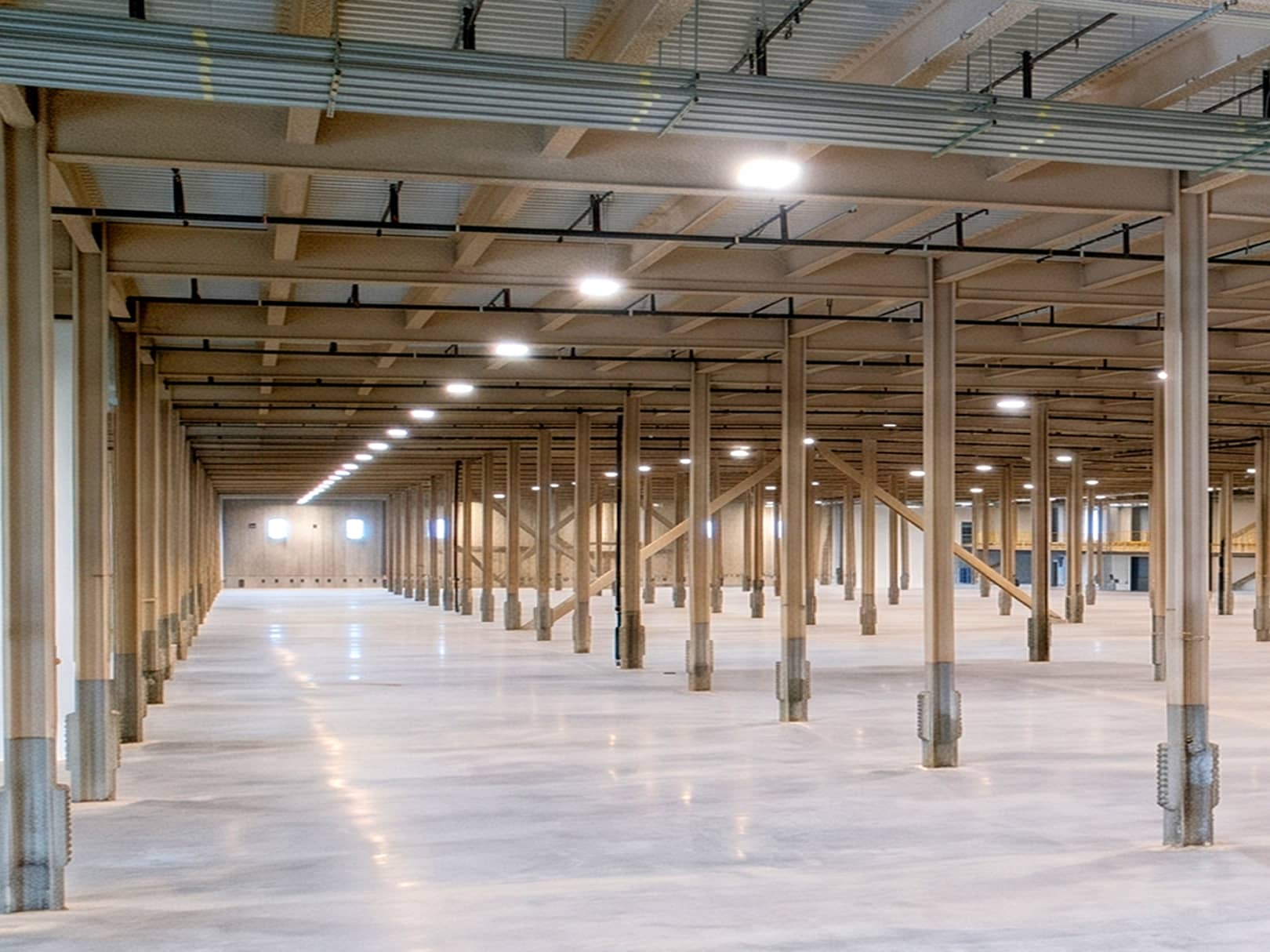 Internal view of BLC under construction with steel columns.